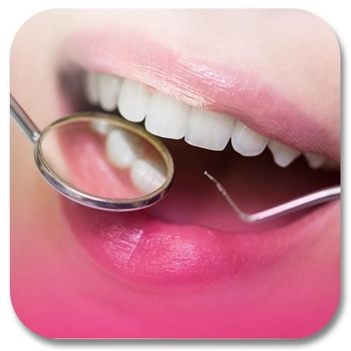 dental check up and consultation